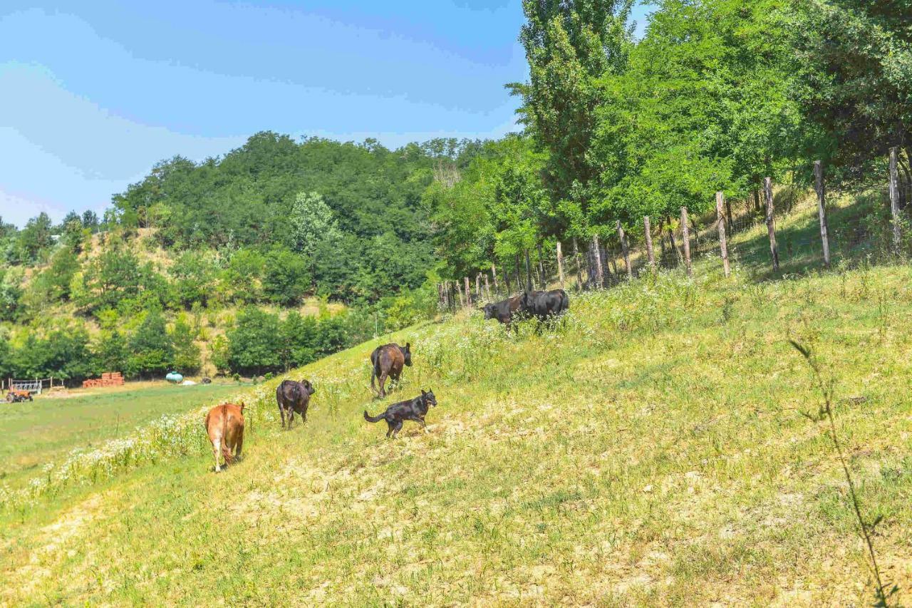 Вилла Cascina Lissona Асти Экстерьер фото